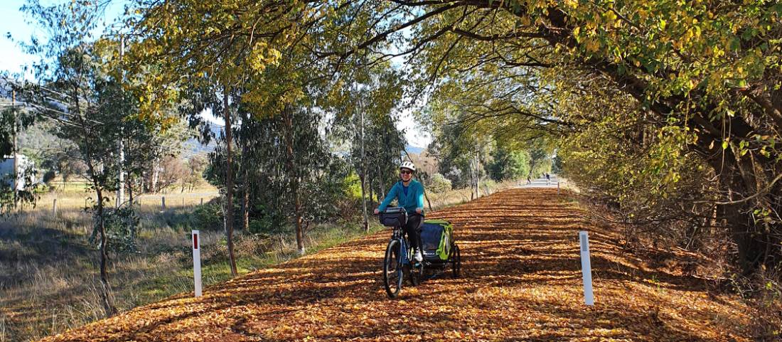 Experience the autumn colours on the Murray to Mountains Rail Trail |  <i>Erin Williams</i>