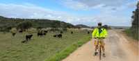 Cycle offroad and enjoy the countryside around the Great Ocean Road | Kate Baker