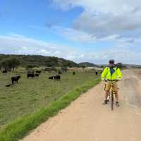 Cycle offroad and enjoy the countryside around the Great Ocean Road | Kate Baker