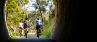 Great Victorian Rail Trail
 | Ride High Country