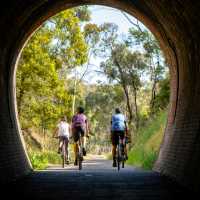 Great Victorian Rail Trail
 | Ride High Country