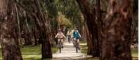 Great Victorian Rail Trail
 | Ride High Country