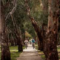 Great Victorian Rail Trail
 | Ride High Country