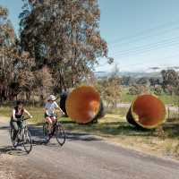 Great Victorian Rail Trail
 | Ride High Country