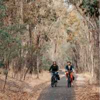 Murray to Mountains Rail Trail
 | Ride High Country