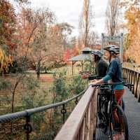 Murray to Mountains Rail Trail
 | Ride High Country