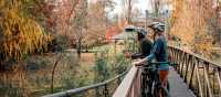 Murray to Mountains Rail Trail
 | Ride High Country