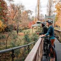 Murray to Mountains Rail Trail
 | Ride High Country