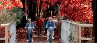 Murray to Mountains Rail Trail
 | Ride High Country