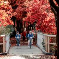 Murray to Mountains Rail Trail
 | Ride High Country