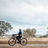 Murray to Mountains Rail Trail
 | Ride High Country