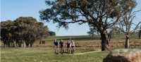 Murray to Mountains Rail Trail
 | Ride High Country
