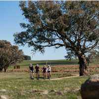 Murray to Mountains Rail Trail
 | Ride High Country