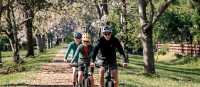 Murray to Mountains Rail Trail
 | Ride High Country