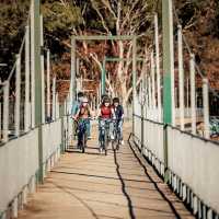Great Victorian Rail Trail | Ride High Country