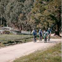 Murray to Mountains Rail Trail | Ride High Country