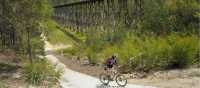 Ride by the Stony Creek Trestle Bridge | Ride High Country