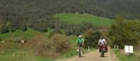 Cycling the Murray to Mountains Rail Trail near Eurobin | Rail Trails Australia