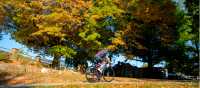 Victoria's High Country is pretty to cycle in autumn | Ride High Country