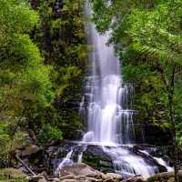 Admire Eskine Falls in Australia