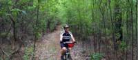 Cycling along the Munda Biddi Trail from Albany to Walpole