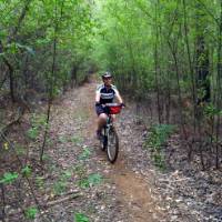 Cycling along the Munda Biddi Trail from Albany to Walpole