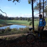 Cycling along the Munda Biddi Trail from Albany to Walpole