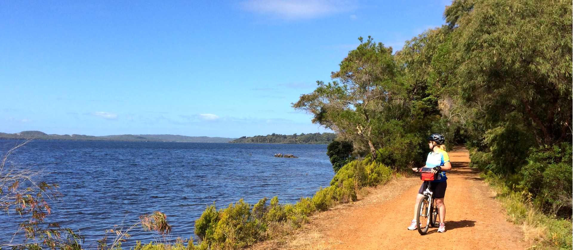Cycling along the Munda Biddi Trail from Albany to Walpole