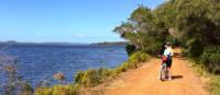 Cycling along the Munda Biddi Trail from Albany to Walpole