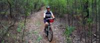 Cycling along the Munda Biddi Trail from Albany to Walpole