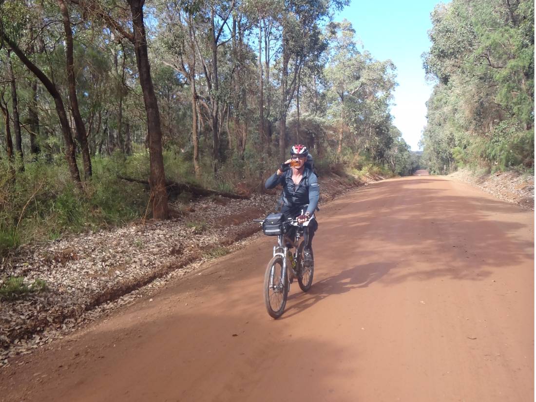 Cycling along the Munda Biddi Trail from Albany to Walpole