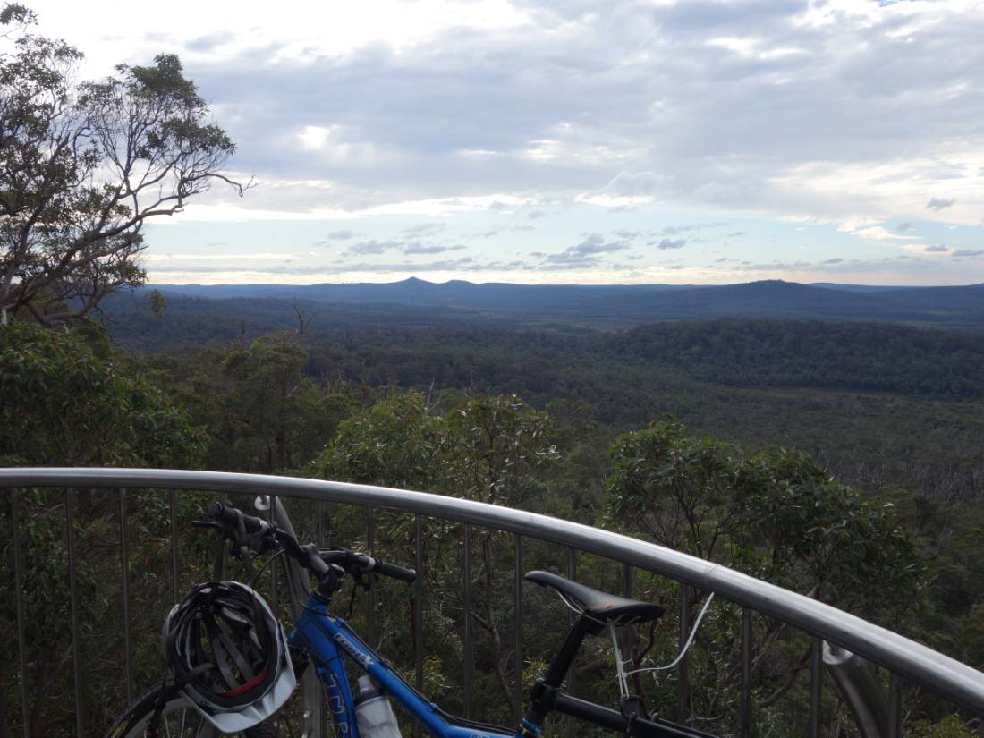 Cycling along the Munda Biddi Trail from Albany to Walpole