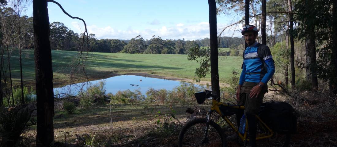 Cycling along the Munda Biddi Trail from Albany to Walpole