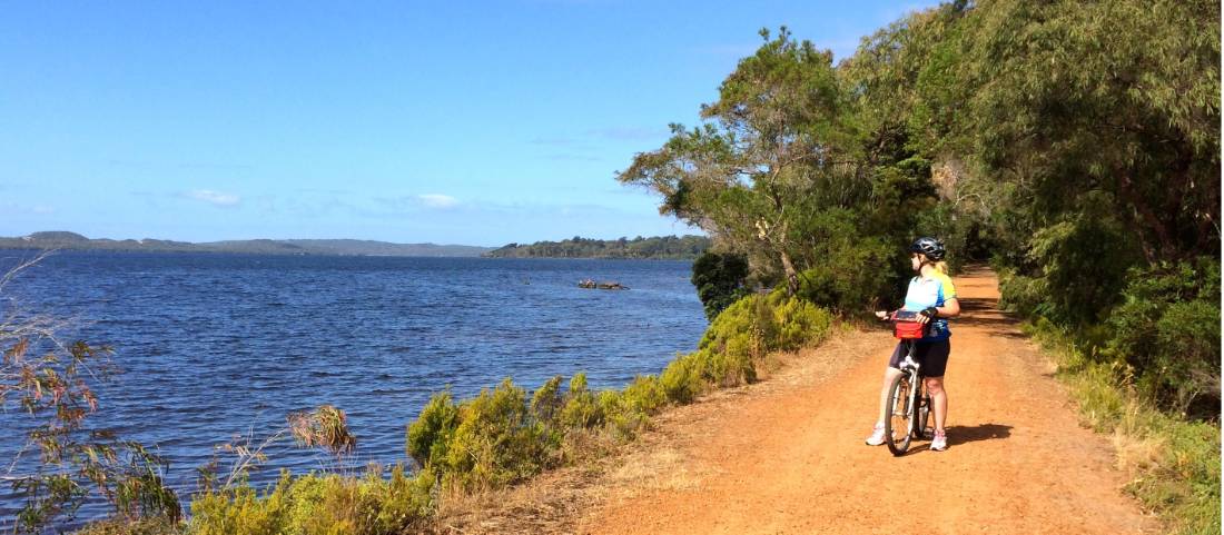 Cycling along the Munda Biddi Trail from Albany to Walpole