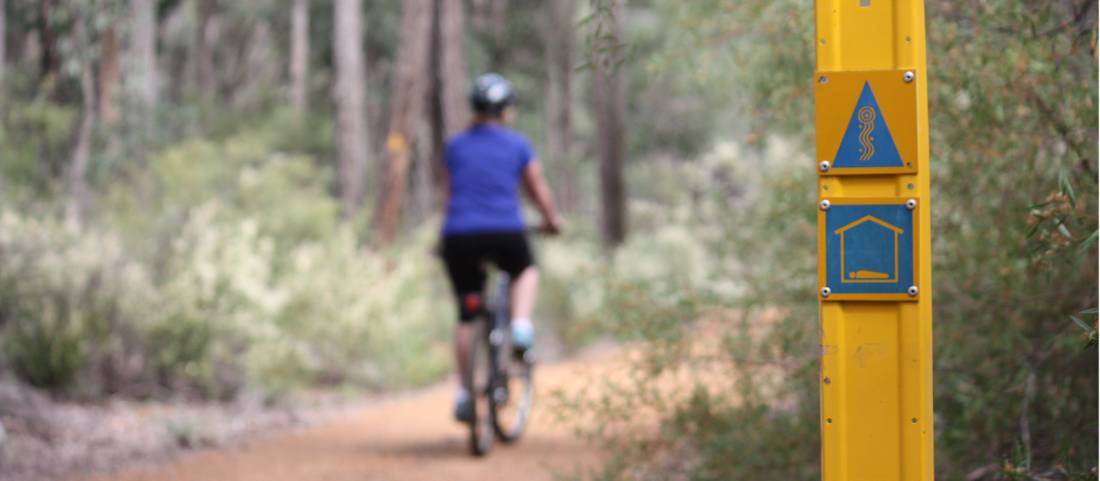 Cycling along the Munda Biddi Trail from Albany to Walpole