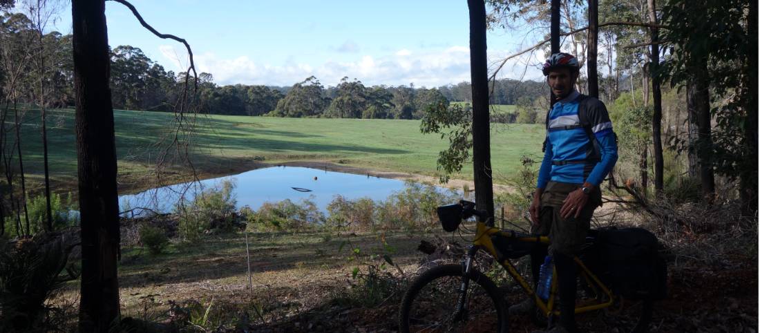 Cycling along the Munda Biddi Trail from Albany to Walpole