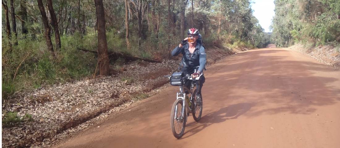 Cycling along the Munda Biddi Trail from Albany to Walpole