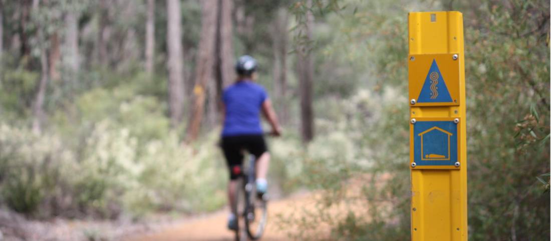 Cycling along the Munda Biddi Trail from Albany to Walpole