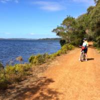 Cycling along the Munda Biddi Trail from Albany to Walpole