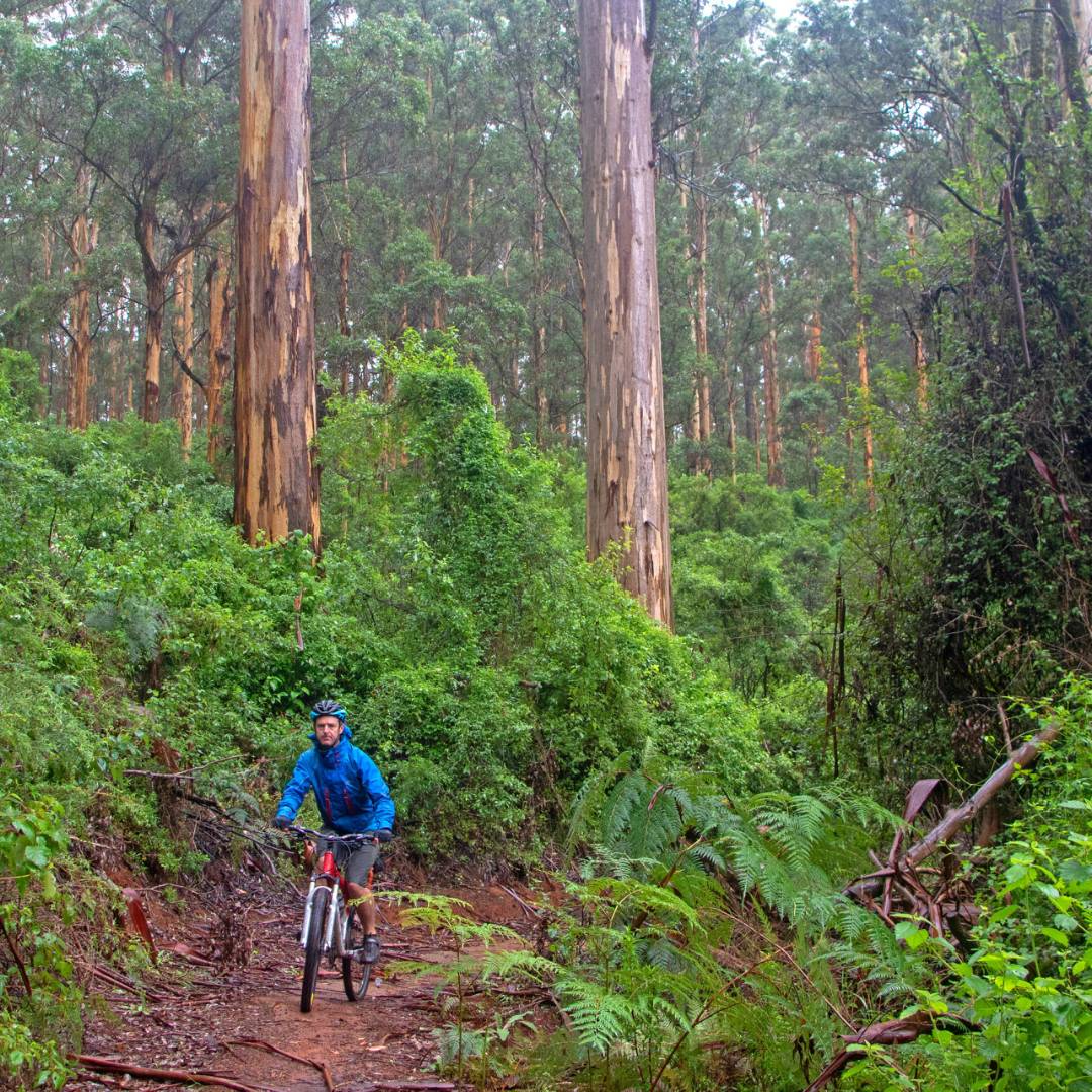Munda Biddi Trail | Andrew Bain