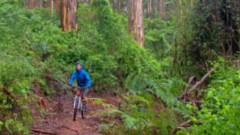 Munda Biddi Trail | Andrew Bain