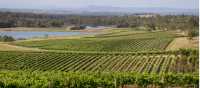 Scenic view of Audrey Wilkinson Vineyard, Pokolbin | Destination NSW