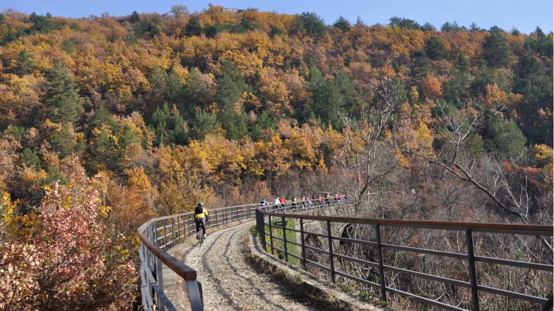 Cycling the Parenzana Rail Trail