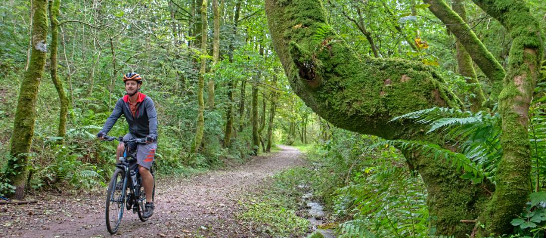 Cycling the magical paths of Rowrah along the Coast to Coast in England |  <i>Andrew Bain</i>