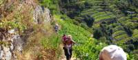 Hikers ascending to Volastra in the Cinque Terre | Phil Wyndham