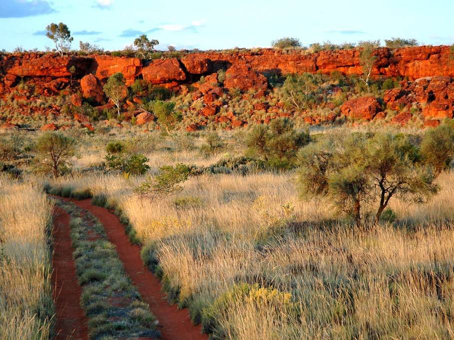 The track to the Calvert Range, just off the Canning Stock Route |  <i>Kate Leeming</i>