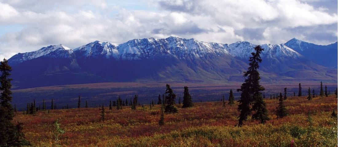 Views across the vibrant Denali National Park |  <i>Jake Hutchins</i>