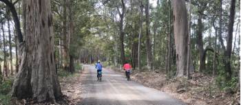 Country lanes on the South Coast Cycle | Kate Baker