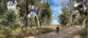 Shaded road on the route between Mendooran and Ballimore | Michele Eckersley