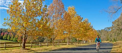 Southern Highlands | Andrew Bain